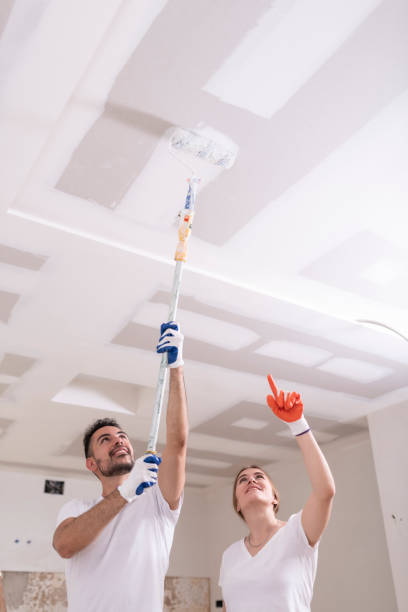 Best Mold Remediation for Vacation Homes  in Camilla, GA