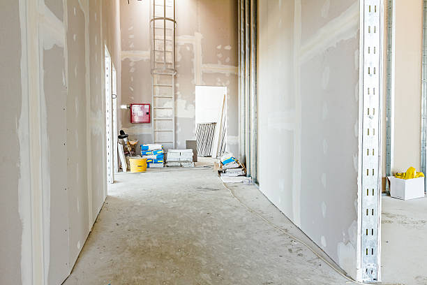 Best Mold Removal for HVAC Installations  in Camilla, GA