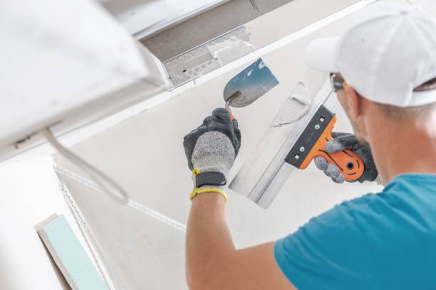 Best Black Mold Removal  in Camilla, GA